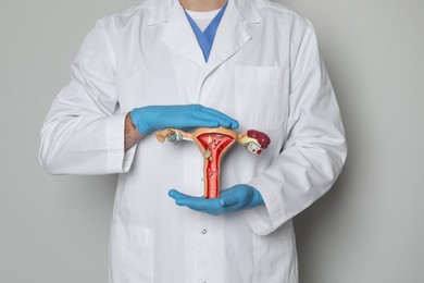 Photo of Gynecologist demonstrating model of female reproductive system on light grey background, closeup