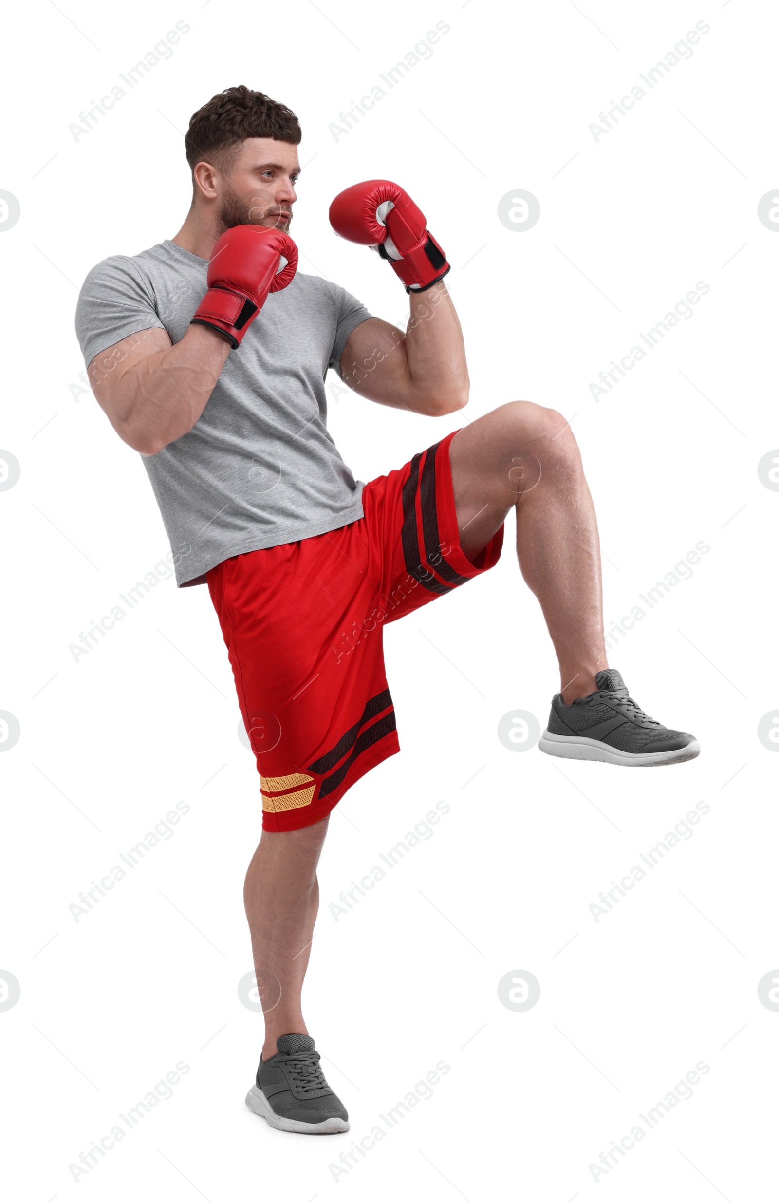 Photo of Man in boxing gloves fighting on white background