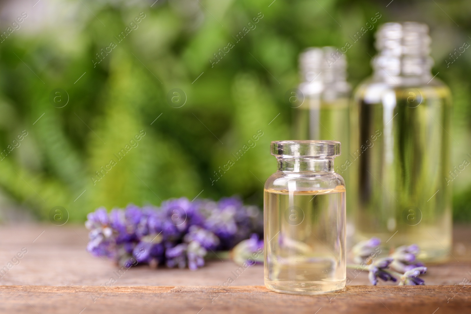 Photo of Bottles with natural lavender essential oil on wooden table against blurred background. Space for text
