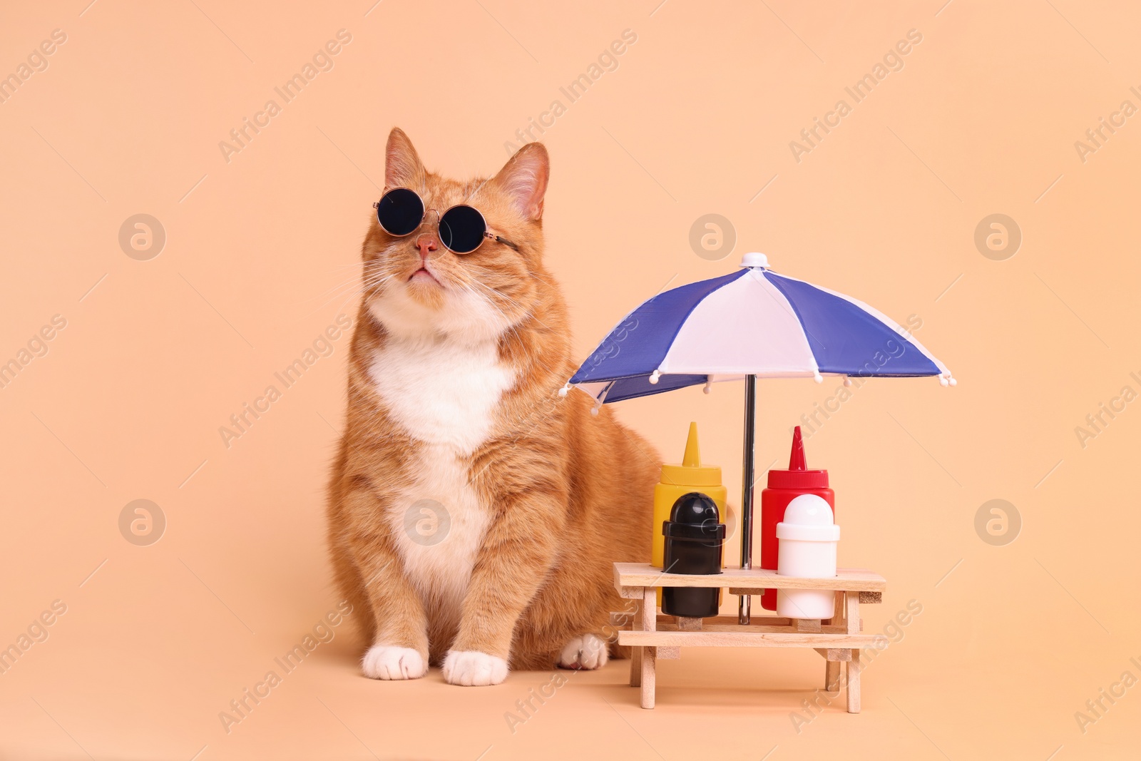 Photo of Cute ginger cat in stylish sunglasses and mini picnic table with umbrella on beige background