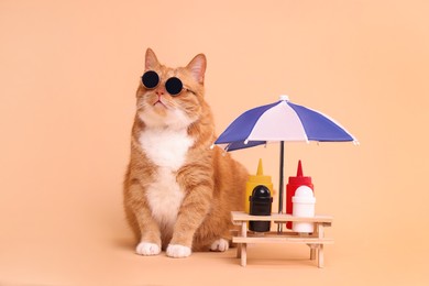 Cute ginger cat in stylish sunglasses and mini picnic table with umbrella on beige background