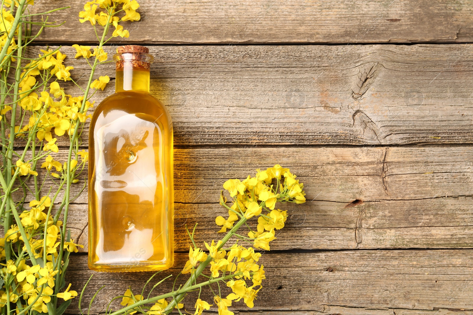 Photo of Rapeseed oil in glass bottle and beautiful yellow flowers on wooden table, flat lay. Space for text