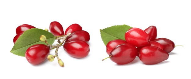 Image of Set of ripe red dogwood berries on white background, banner design