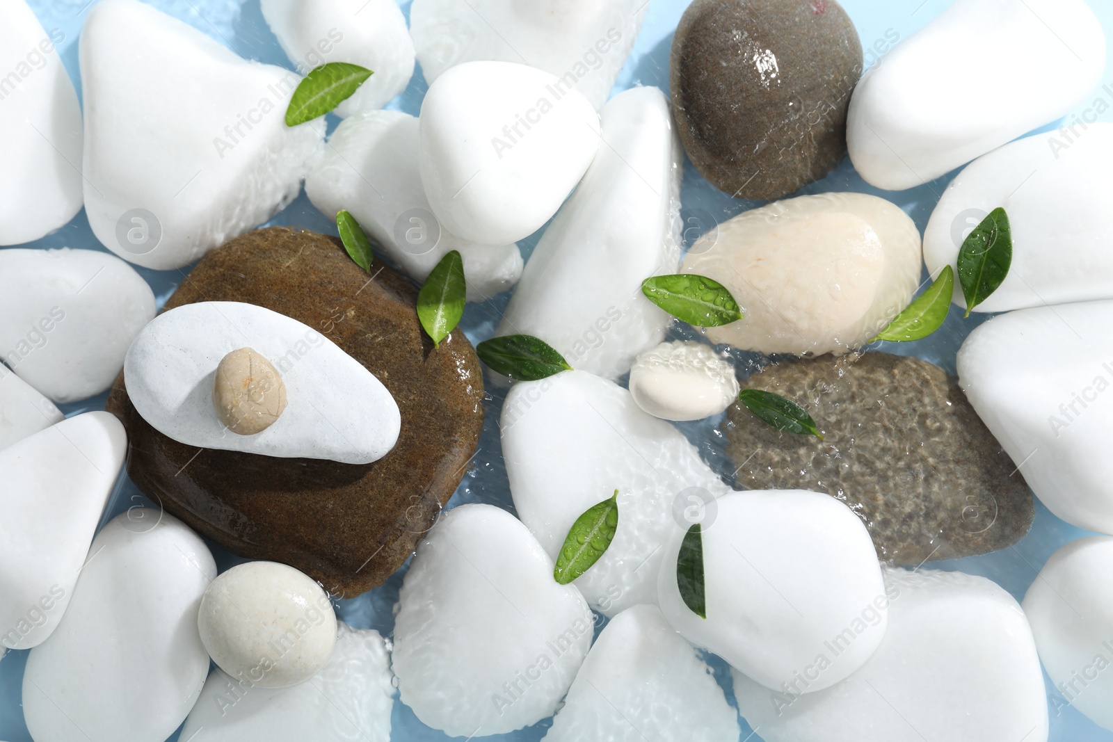 Photo of Spa stones and green leaves in water on light blue background, flat lay