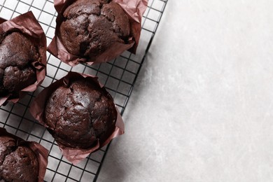 Photo of Tasty chocolate muffins on grey table, top view. Space for text