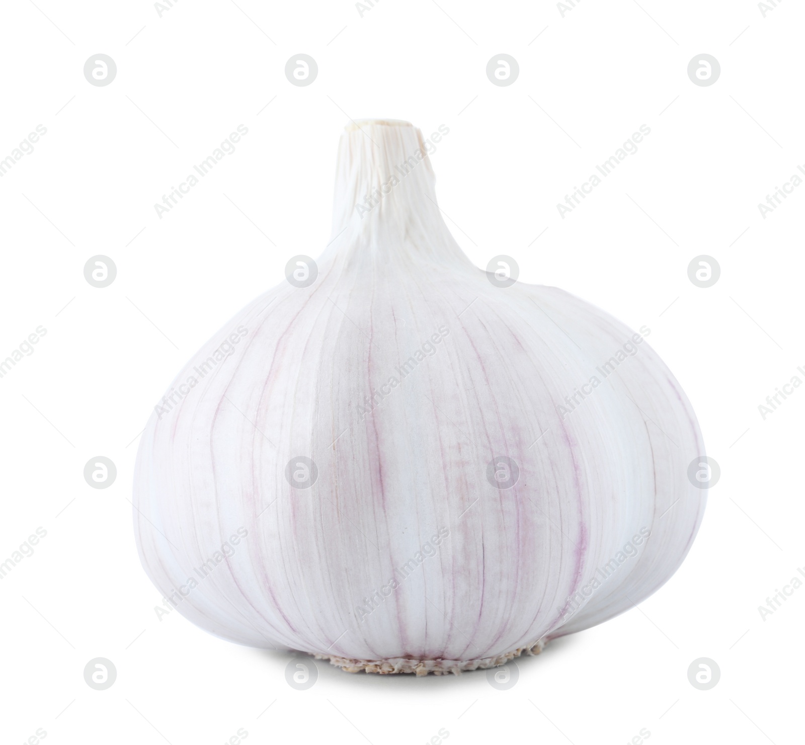 Photo of Fresh garlic on white background. Organic food