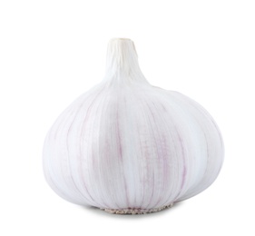 Photo of Fresh garlic on white background. Organic food