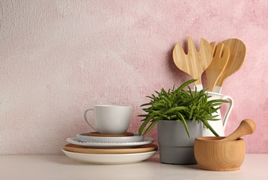 Photo of Green plant and different kitchenware on table near color wall, space for text. Modern interior design