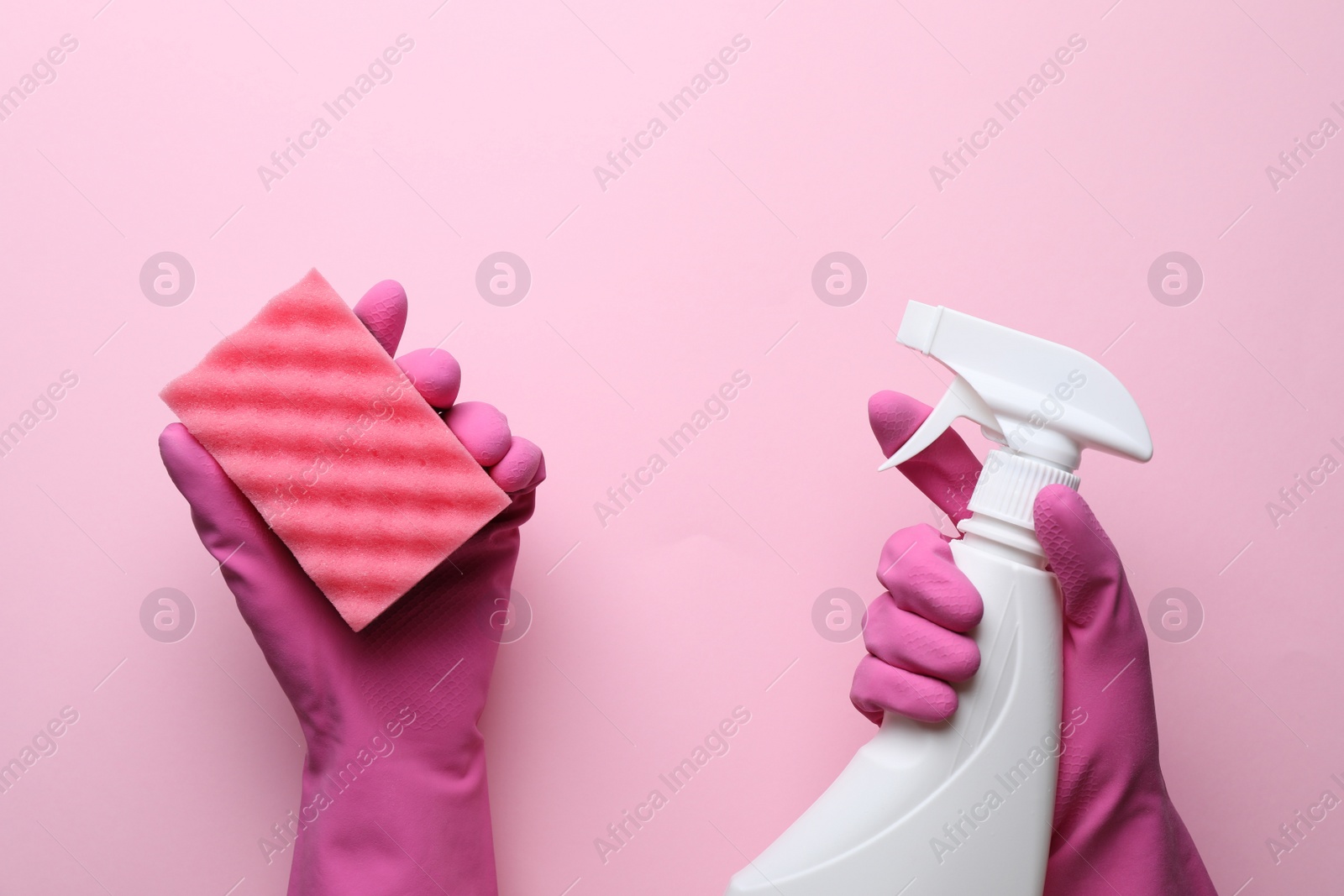Photo of Woman in rubber gloves holding sponge and detergent on pink background, top view
