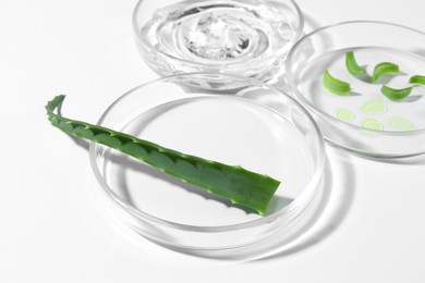 Petri dishes with aloe plants and cosmetic product on white background, closeup