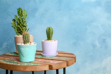 Photo of Beautiful cacti on table against color background