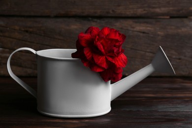Photo of Beautiful red flower in watering can on wooden table