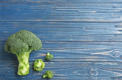 Fresh broccoli florets on blue wooden table, flat lay with space for text