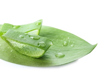 Photo of Fresh aloe vera slices on white background