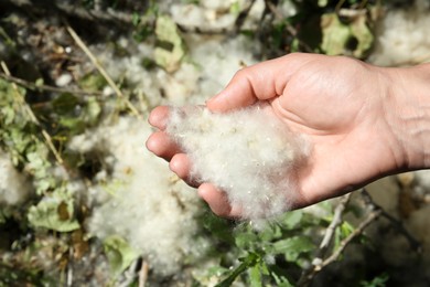 Photo of Woman holding pile of poplar fluff outdoors on sunny day, closeup