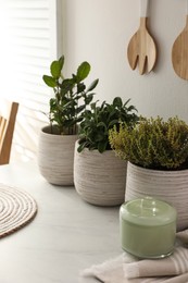 Different aromatic potted herbs on countertop in kitchen