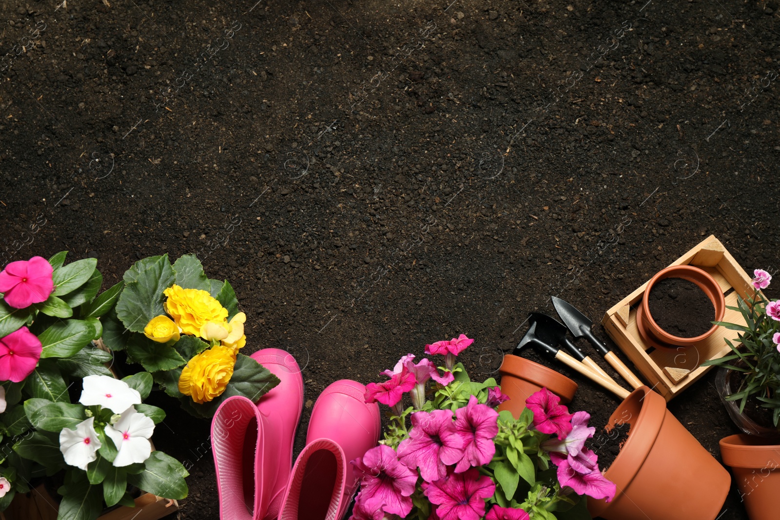 Photo of Flat lay composition with gardening tools and flowers on soil, space for text