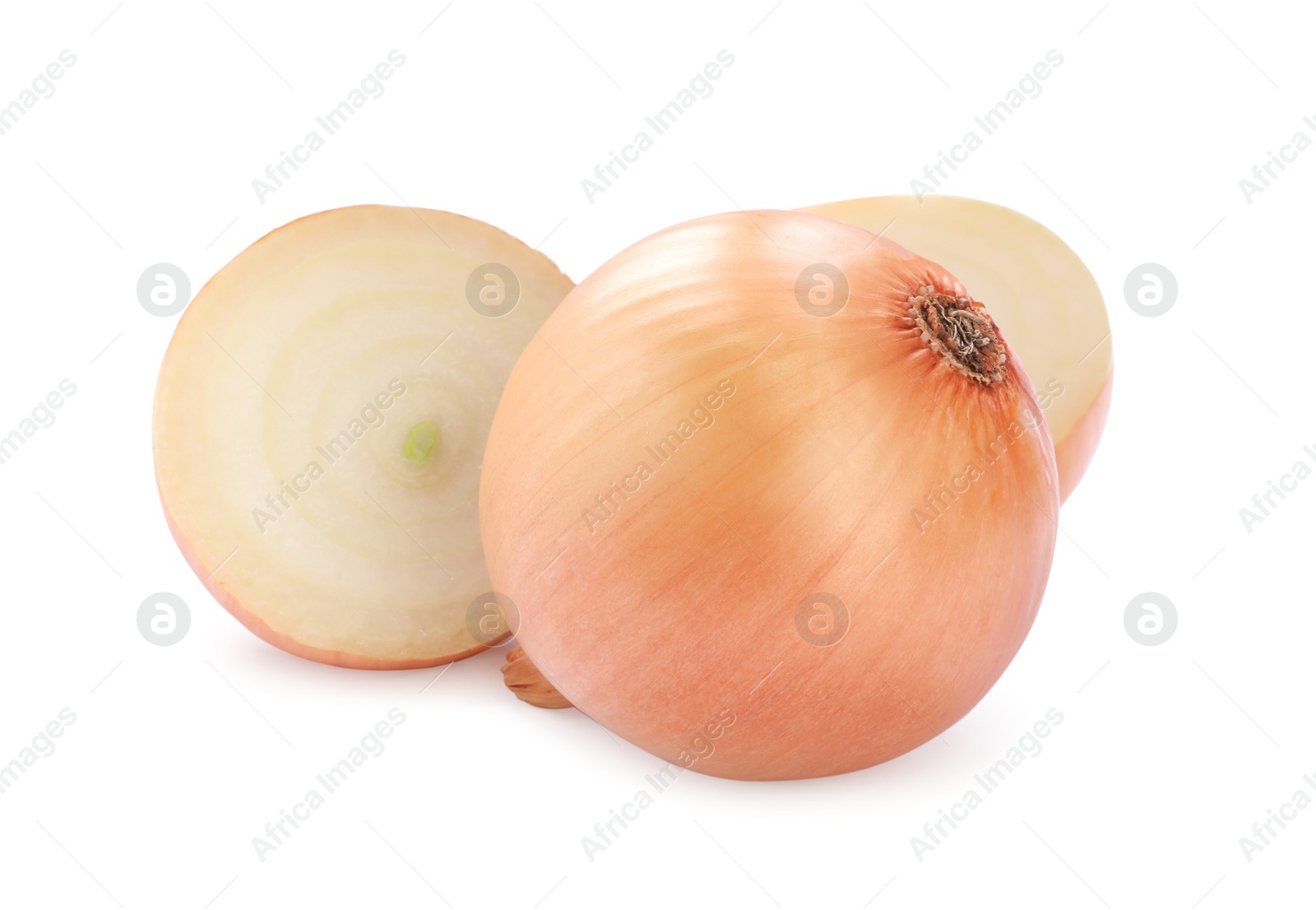 Photo of Whole and cut onions on white background