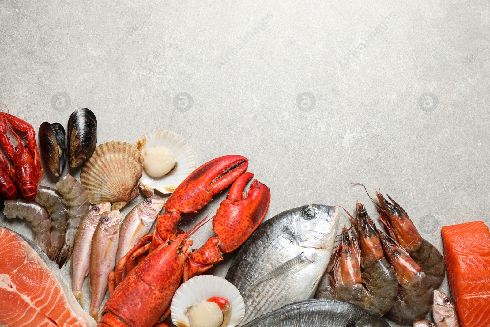 Photo of Fresh fish and seafood on marble table, flat lay. Space for text