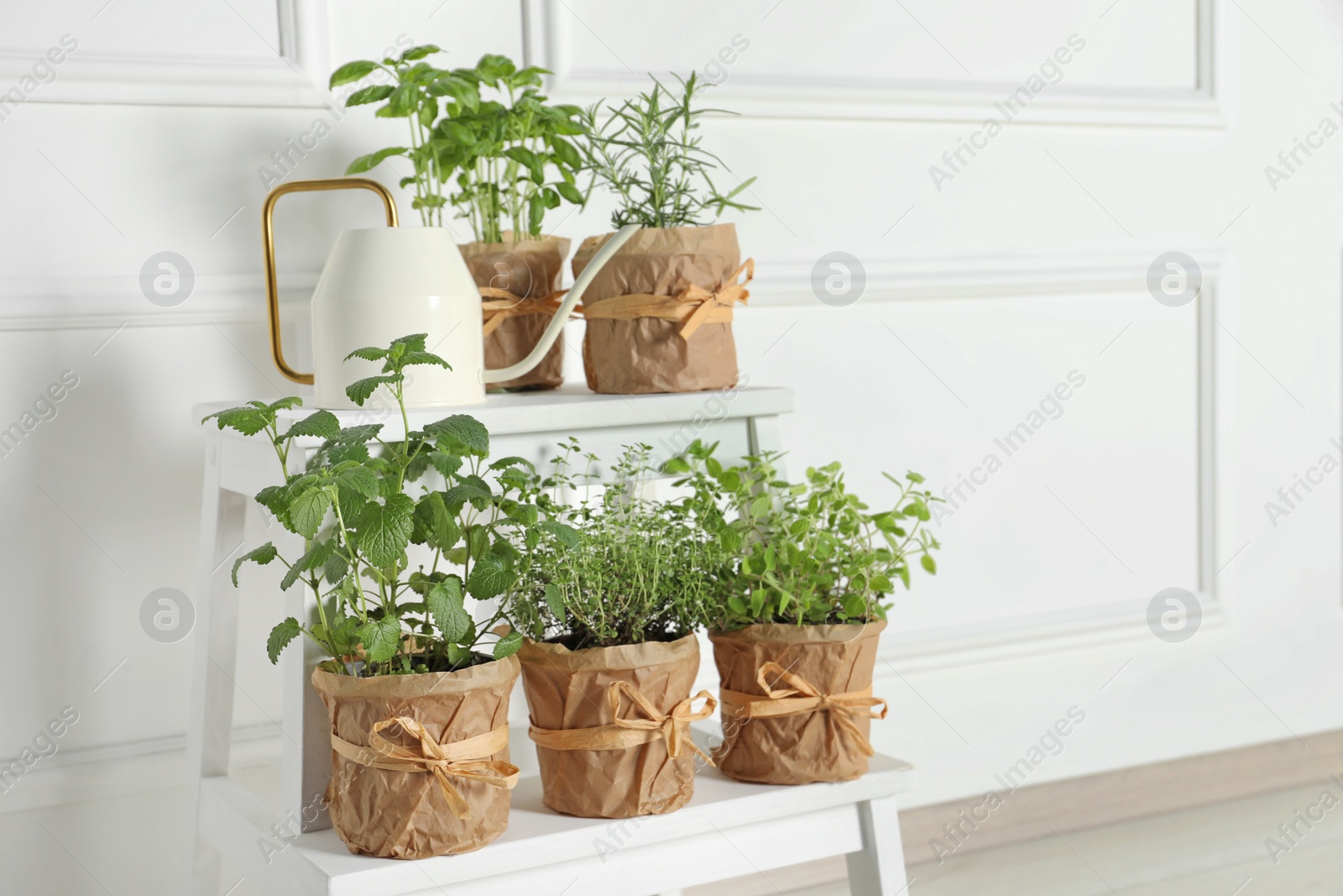 Photo of Different aromatic potted herbs and watering can on stand near white wall indoors. Space for text