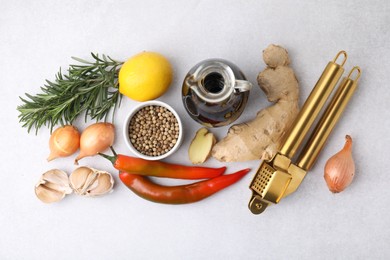 Different fresh ingredients for marinade and garlic press on light grey table, flat lay