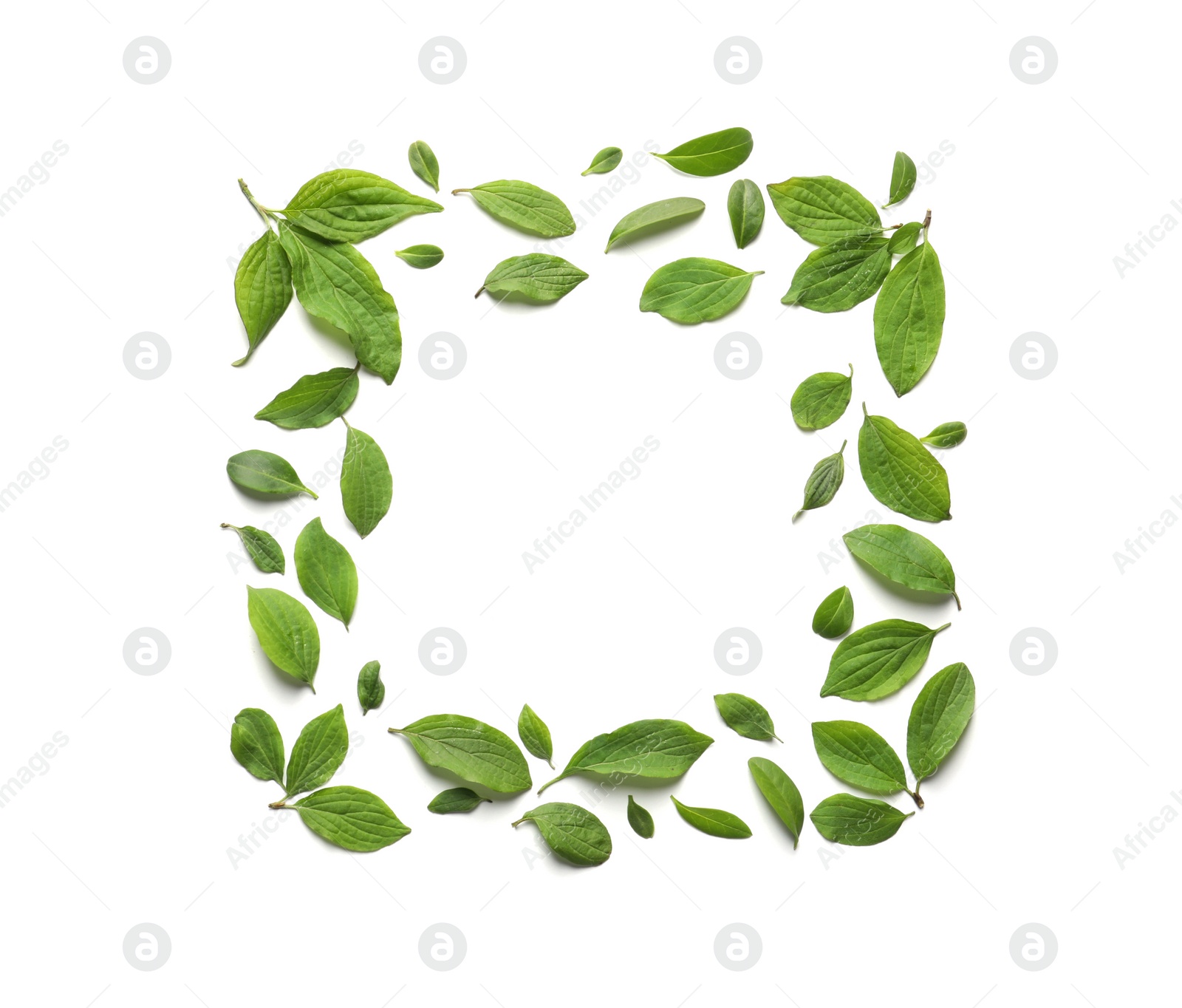 Photo of Frame made of green leaves on white background, top view. Space for text