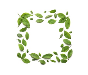 Photo of Frame made of green leaves on white background, top view. Space for text