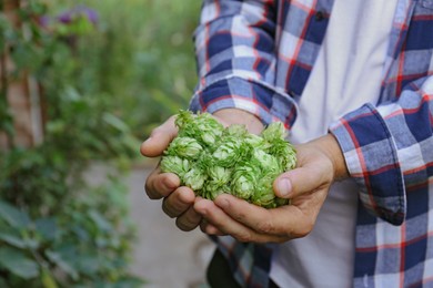 Man holding fresh green hops outdoors, closeup