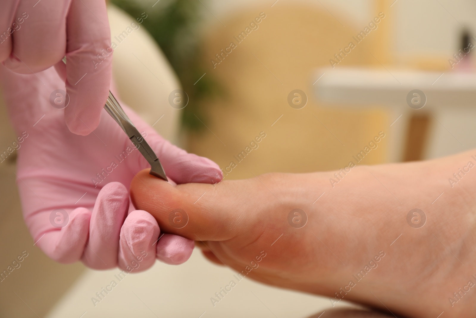 Photo of Professional pedicurist cutting client`s toenails with clipper in beauty salon, closeup