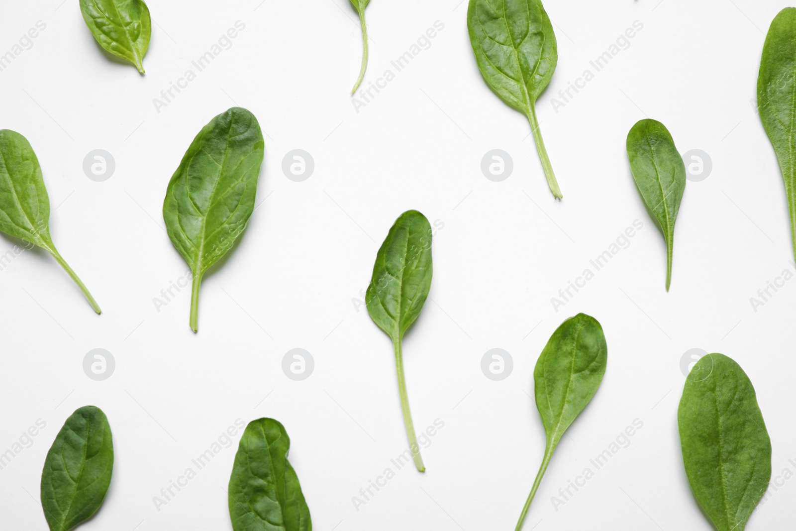 Photo of Fresh green healthy spinach on white background, top view