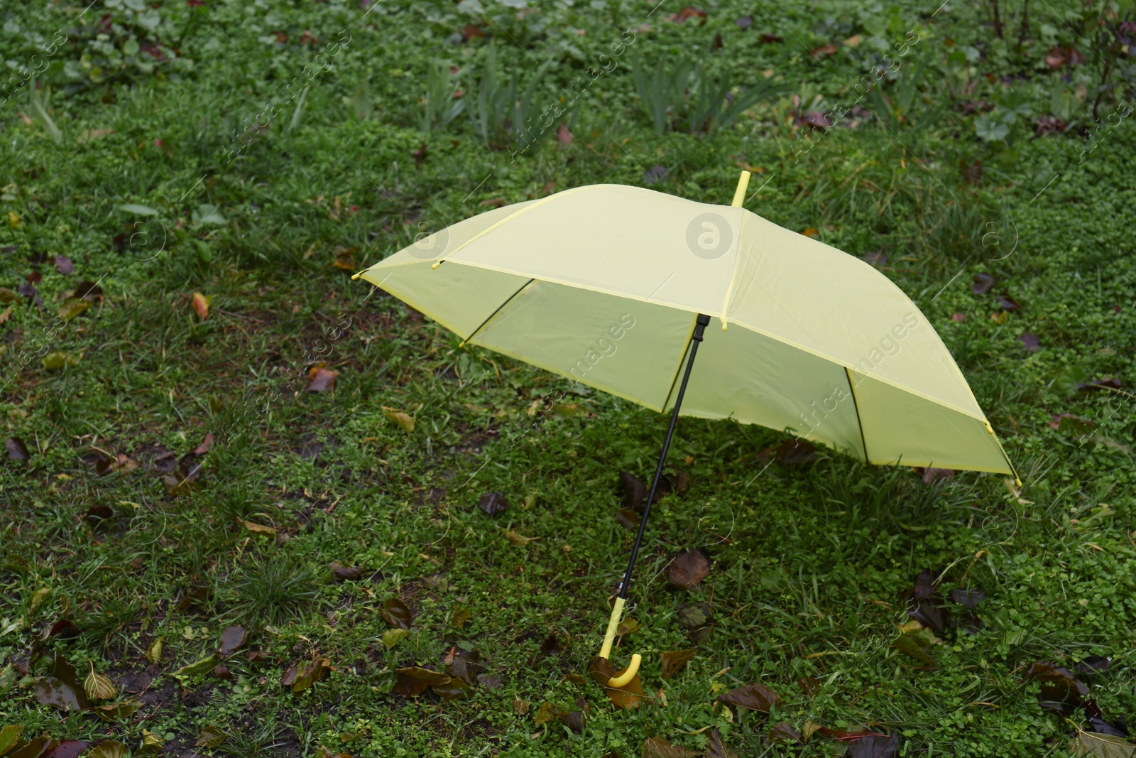 Photo of Yellow umbrella on grass outdoors. Rainy autumn weather