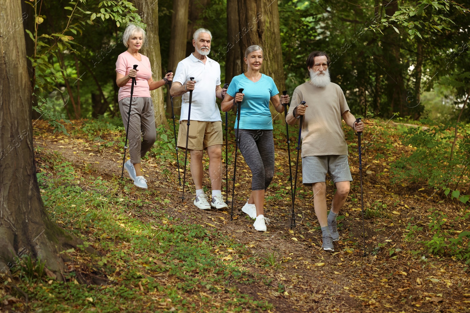 Photo of Group of senior people performing Nordic walking in forest