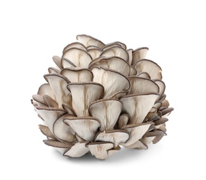 Photo of Delicious organic oyster mushrooms on white background