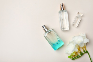 Photo of Bottles of perfume and flower on light background, top view