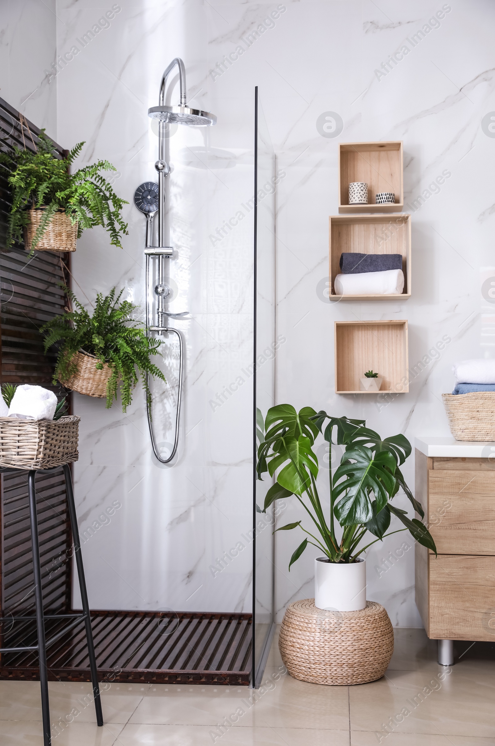 Photo of Bathroom interior with shower stall and houseplants. Idea for design