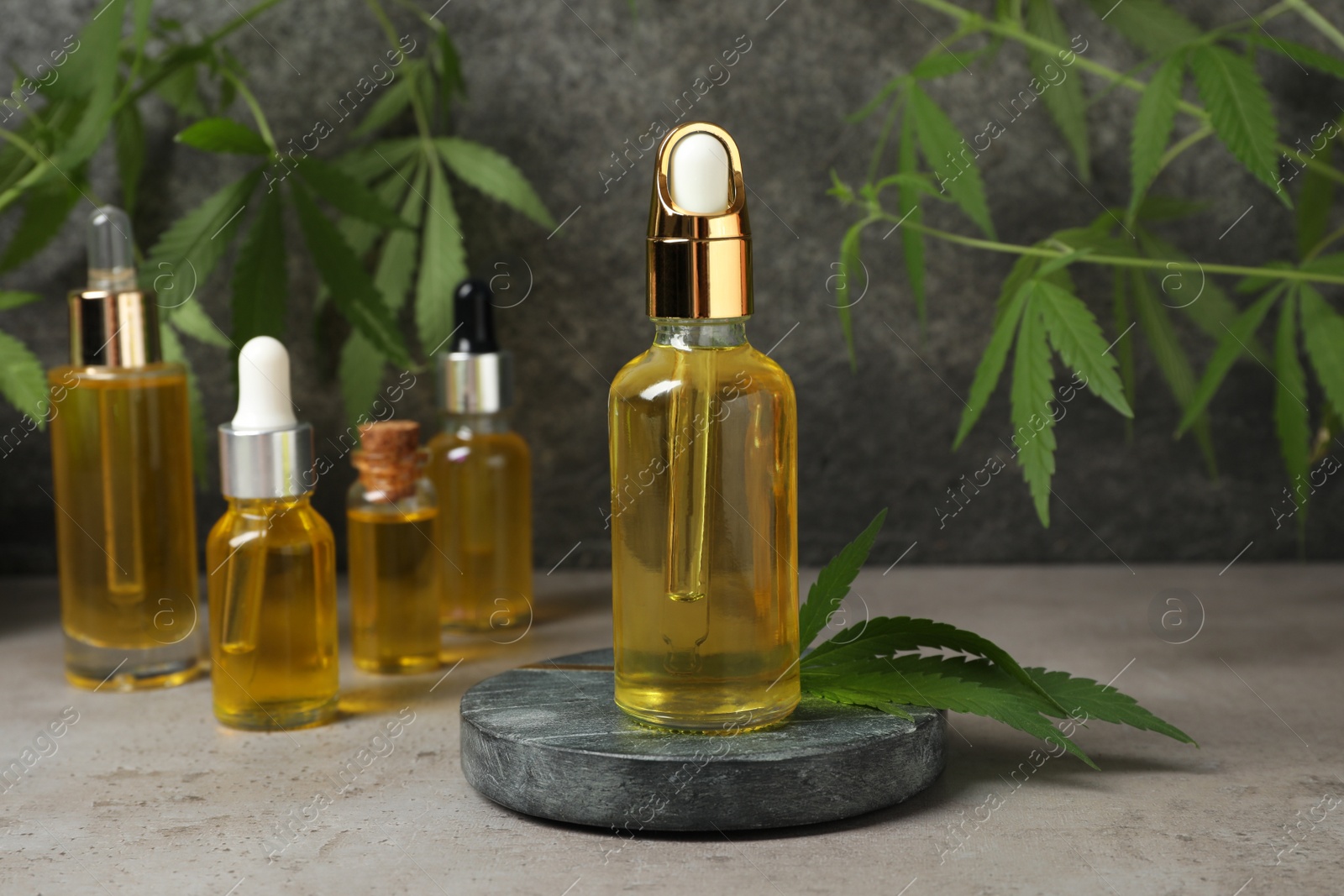 Photo of Hemp oil and leaf on light grey table