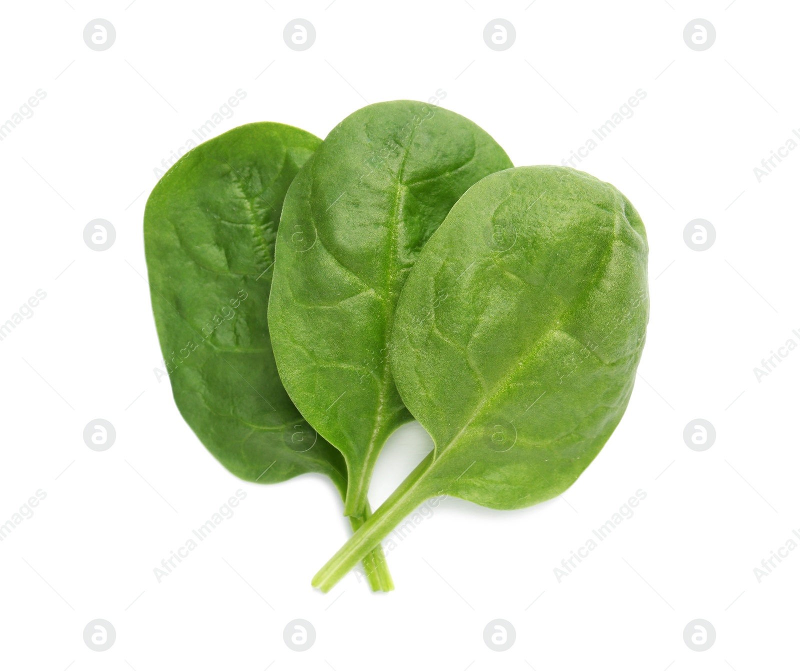 Photo of Fresh leaves of spinach isolated on white, top view