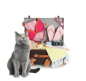 Image of Cute cat and old fashioned suitcase packed for journey on white background. Travelling with pet