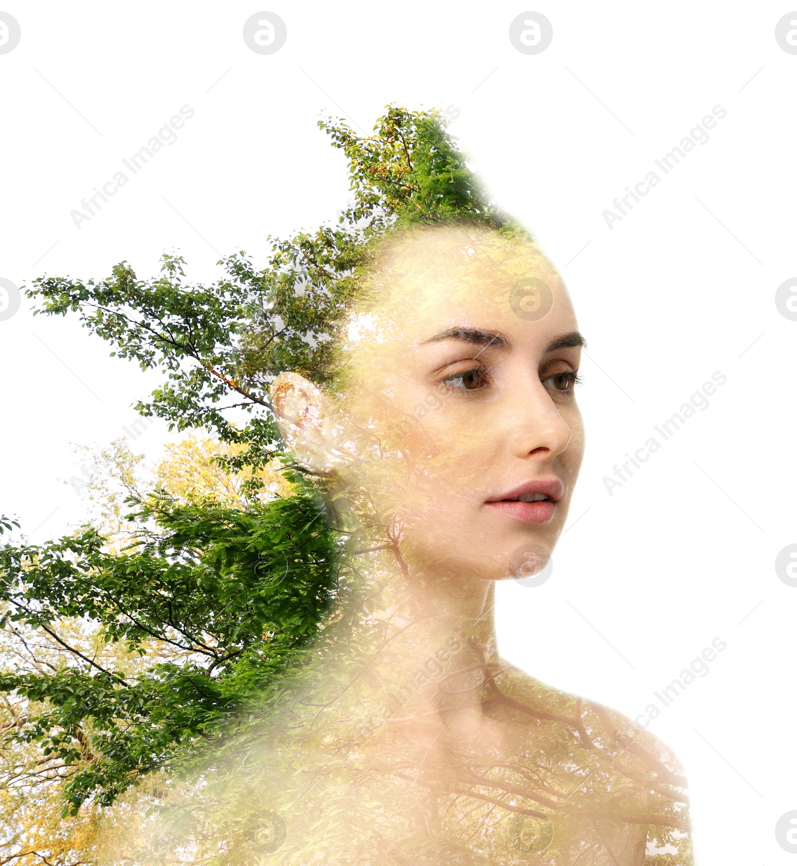 Image of Double exposure of beautiful woman and tree on white background