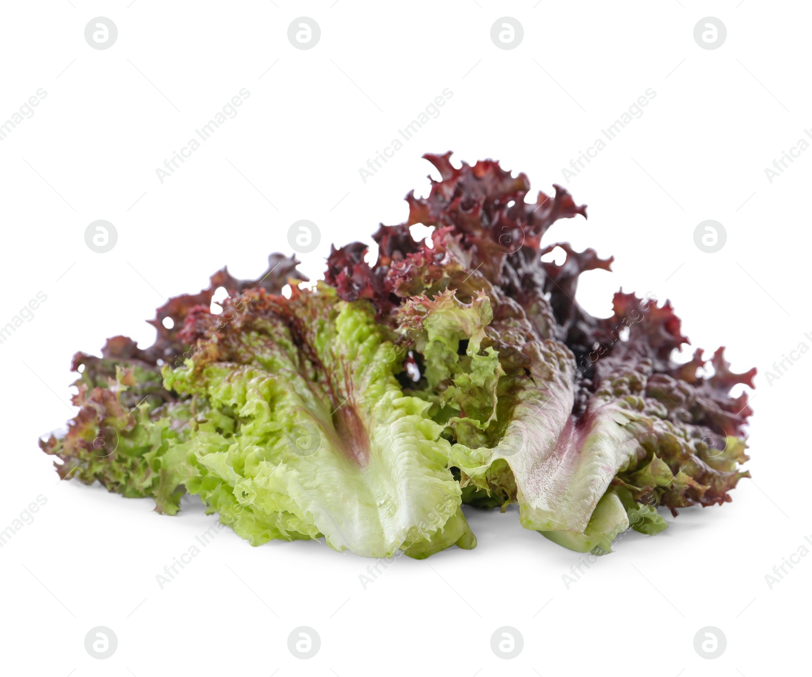 Photo of Leaves of fresh red coral lettuce isolated on white