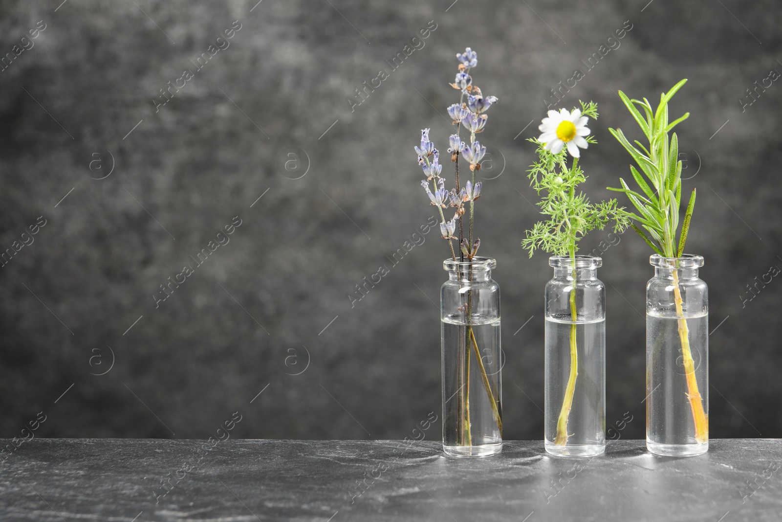 Photo of Bottles with essential oils and plants on grey textured table. Space for text