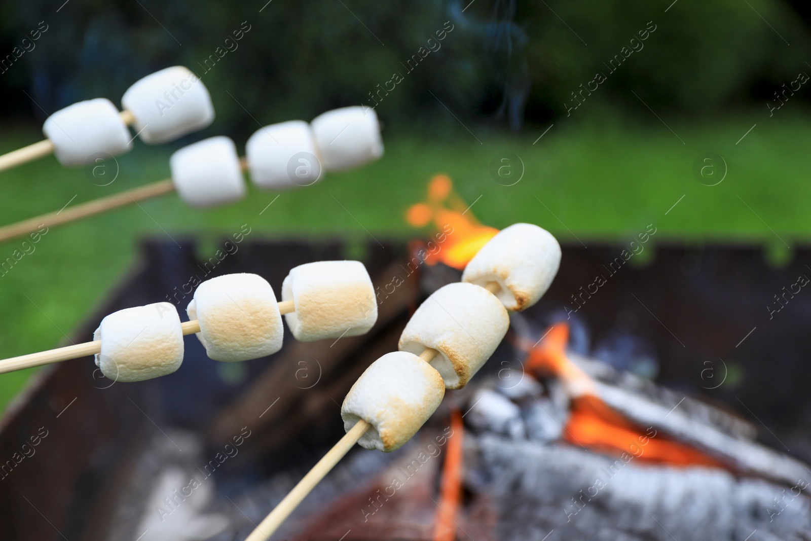 Photo of Delicious puffy marshmallows roasting over bonfire, closeup