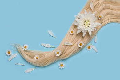 Photo of Lock of healthy blond hair with flowers on light blue background, flat lay