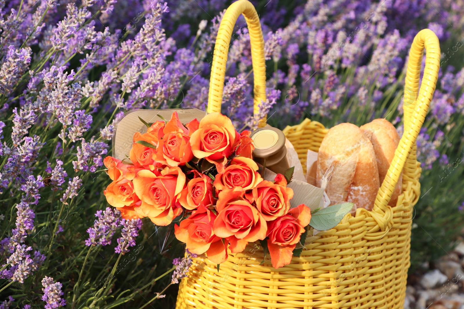 Photo of Yellow wicker bag with beautiful roses, bottle of wine and baguettes in lavender field