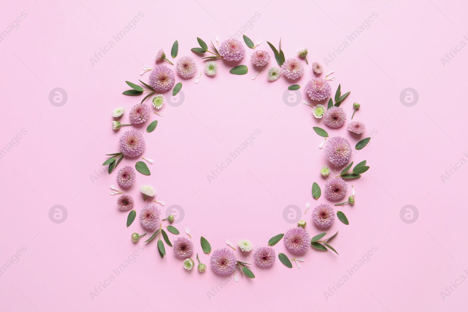 Photo of Wreath made of beautiful flowers and green leaves on pink background, flat lay. Space for text