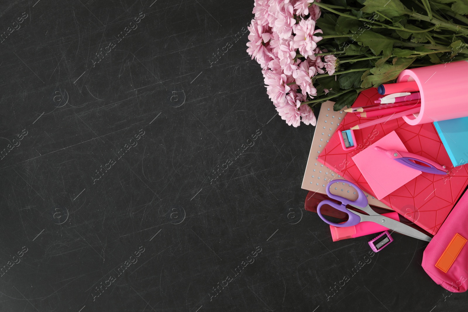 Photo of Different school stationery and beautiful pink flowers on blackboard, flat lay with space for text. Happy Teacher's Day