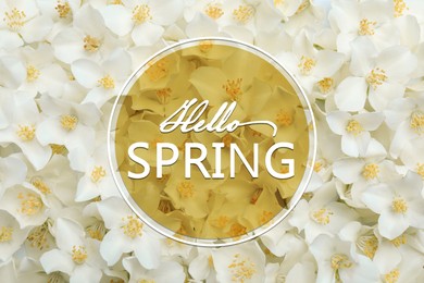 Image of Hello Spring card. Beautiful white jasmine flowers as background, closeup