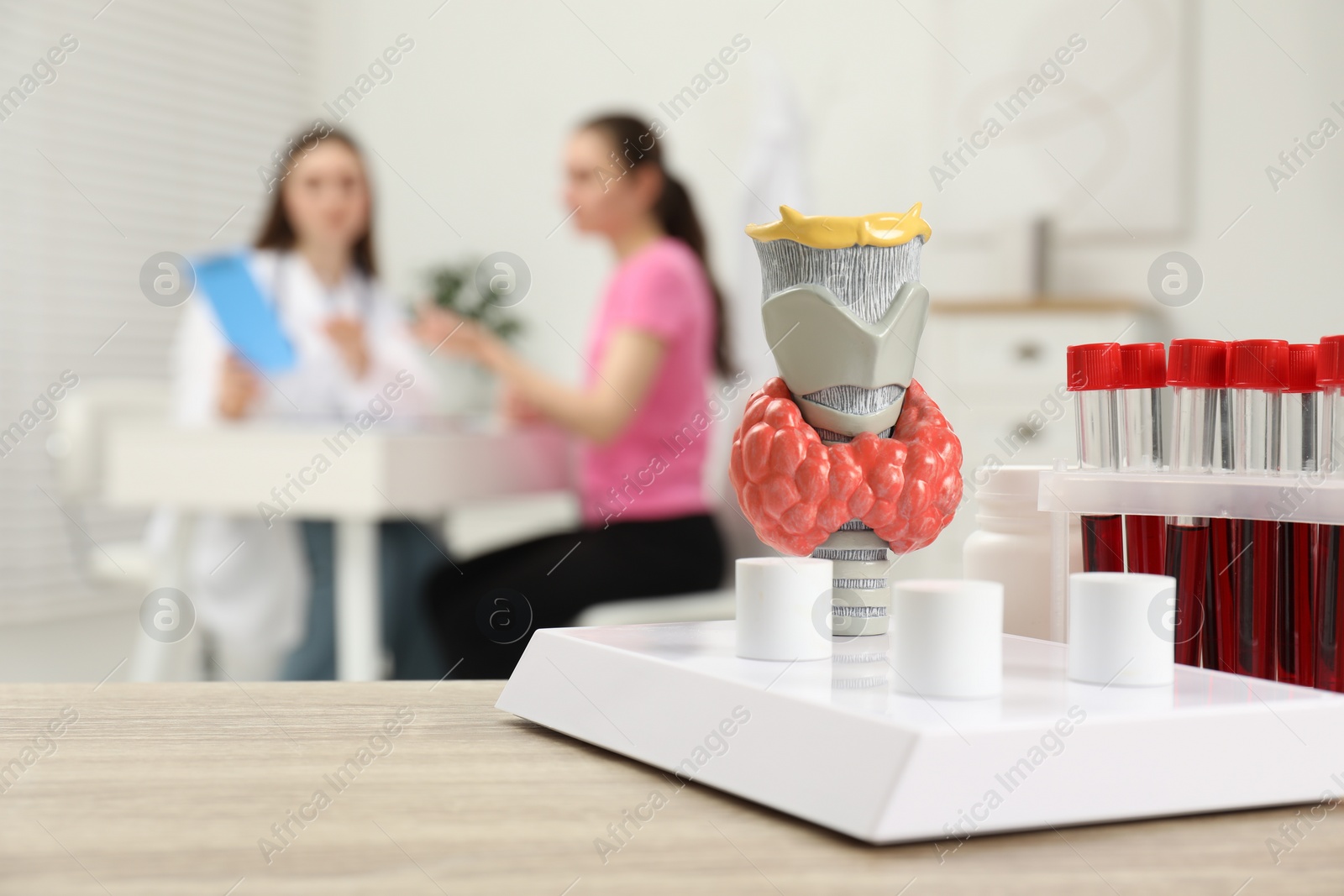 Photo of Endocrinologist examining patient at clinic, focus on model of thyroid gland and blood samples in test tubes