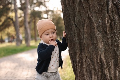 Portrait of little baby near tree in park