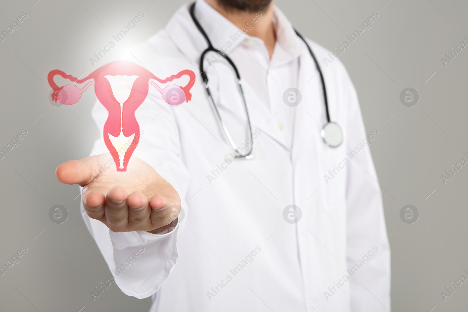 Image of Doctor and illustration of female reproductive system on grey background, closeup